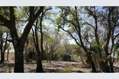 16120 NW 300th St, Okeechobee, FL 34972 - Photo 7