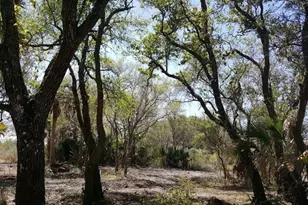 16120 NW 300th St, Okeechobee, FL 34972 - Photo 7