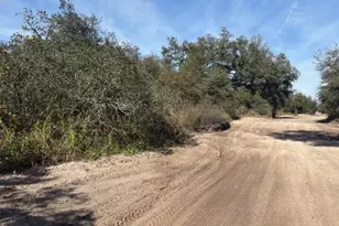 0 County Rd 54 E, Kathleen, FL 33849 - Photo 3