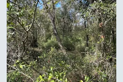 0  County Rd 54 E, Kathleen, FL 33849 - Photo 1