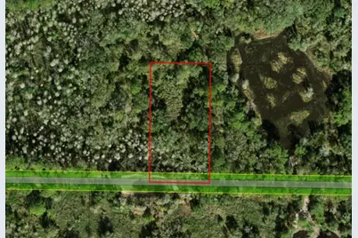 0  County Rd 54 E, Kathleen, FL 33849 - Photo 3