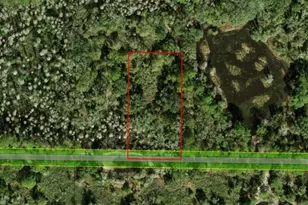 0 County Rd 54 E, Kathleen, FL 33849 - Photo 3