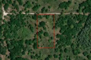 0 County Rd 54 E, Kathleen, FL 33849 - Photo 3