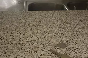 3441 NW 44th St, Oakland Park, FL 33309 - Photo 3