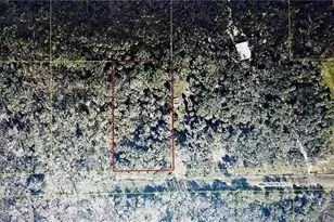 21331 NW 250th St, Okeechobee, FL 34972 - Photo 3