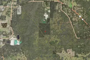 0 County Rd 54 E, Kathleen, FL 33849 - Photo 3