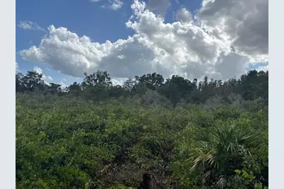 0  County Rd 54 E, Kathleen, FL 33849 - Photo 1