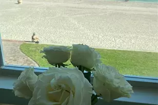 1801 S Surf Rd Unit, Hollywood, FL 33019 - Photo 11