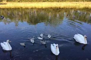 160 NW 166th Ave, Pembroke Pines, FL 33028 - Photo 41