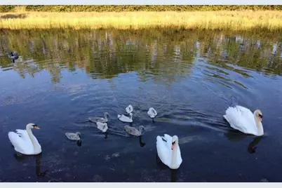 160 NW 166th Ave, Pembroke Pines, FL 33028 - Photo 45