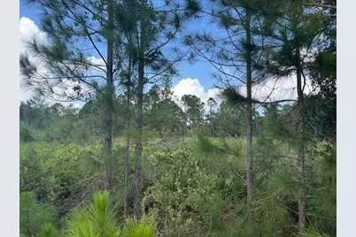 0  County Rd 54 E, Kathleen, FL 33849 - Photo 1