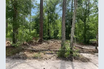 0  County Rd 54 E, Kathleen, FL 33849 - Photo 1