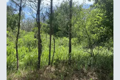 0  County Rd 54 E, Kathleen, FL 33849 - Photo 1