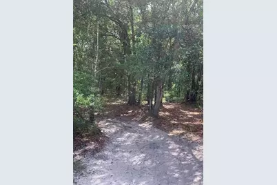 0  County Rd 54 E, Kathleen, FL 33849 - Photo 1