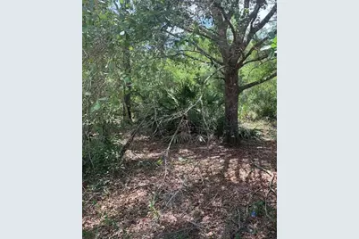 0  County Rd 54 E, Kathleen, FL 33849 - Photo 1