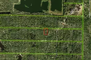 0 County Rd 54 E, Kathleen, FL 33849 - Photo 3