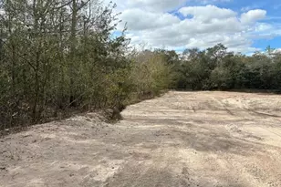 0 County Rd 54 E, Kathleen, FL 33849 - Photo 3