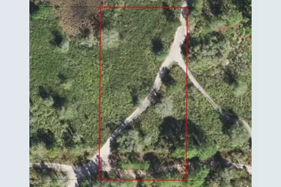 0  County Rd 54 E, Kathleen, FL 33849 - Photo 3