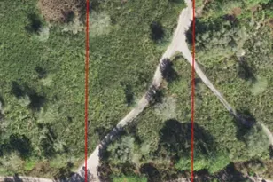 0 County Rd 54 E, Kathleen, FL 33849 - Photo 3