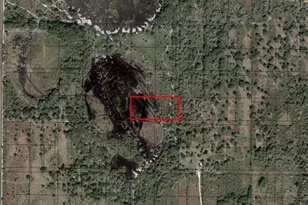 0 NW 296th St, Okeechobee, FL 34972 - Photo 3