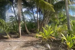 4656 Lillian Ave, Palm Beach Gardens, FL 33418 - Photo 17