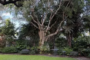 1000 Lowry St, Delray Beach, FL 33483 - Photo 29