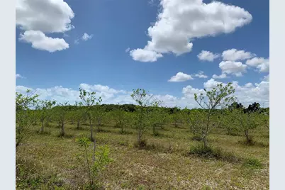 149Xx SW 224 St., Miami, FL 33170 - Photo 9