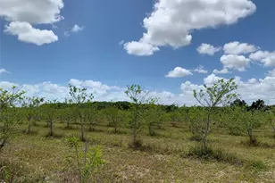 149Xx SW 224 St, Miami, FL 33170 - Photo 9