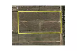 149Xx SW 224 St, Miami, FL 33170 - Photo 3