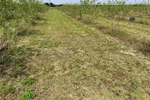 149Xx SW 224 St, Miami, FL 33170 - Photo 7