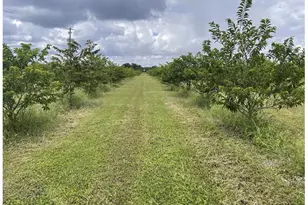 149Xx SW 224 St, Miami, FL 33170 - Photo 13