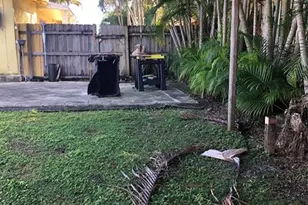 2314 N 26th Ave, Hollywood, FL 33020 - Photo 9