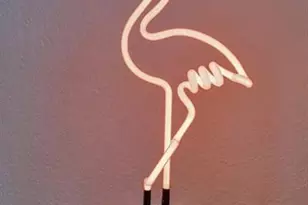 2611 NE 20th St, Pompano Beach, FL 33062 - Photo 11