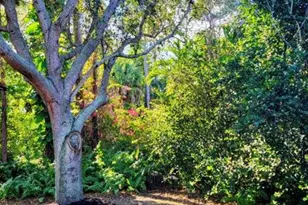 2585 SE Marseille St, Port Saint Lucie, FL 34952 - Photo 3