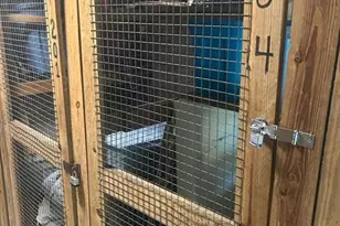 5335 NW 10th Ct, Plantation, FL 33313 - Photo 29