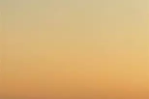 153 Seabreeze Blvd, Fort Lauderdale, FL 33304 - Photo 37