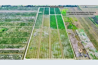 3288  Auburn St, Lorida, FL 33857 - Photo 1