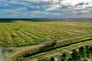 3288 Auburn St, Lorida, FL 33857 - Photo 5