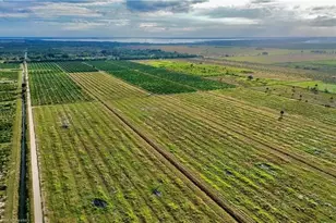 3288 Auburn St, Lorida, FL 33857 - Photo 7