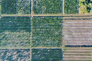 1050 Arbuckle Creek Rd, Lorida, FL 33857 - Photo 5