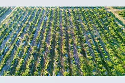 2413  Hicks Rd, Lorida, FL 33857 - Photo 3