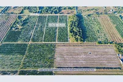 2233  Hicks Rd, Lorida, FL 33857 - Photo 1