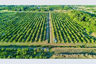 2233  Hicks Rd, Lorida, FL 33857 - Photo 5