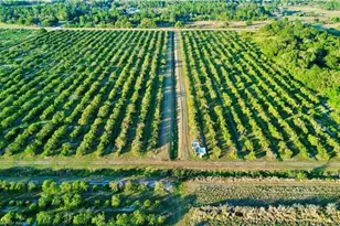 2233 Hicks Rd, Lorida, FL 33857 - Photo 5