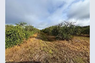 2205  Hicks Rd, Lorida, FL 33857 - Photo 11