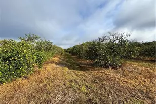 2205 Hicks Rd, Lorida, FL 33857 - Photo 11