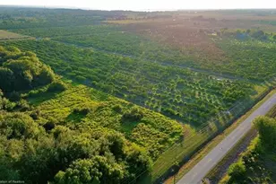 2205 Hicks Rd, Lorida, FL 33857 - Photo 9