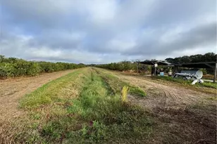 2205 Hicks Rd, Lorida, FL 33857 - Photo 21