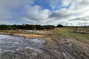 2205 Hicks Rd, Lorida, FL 33857 - Photo 25