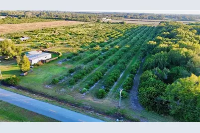 2205  Hicks Rd, Lorida, FL 33857 - Photo 7